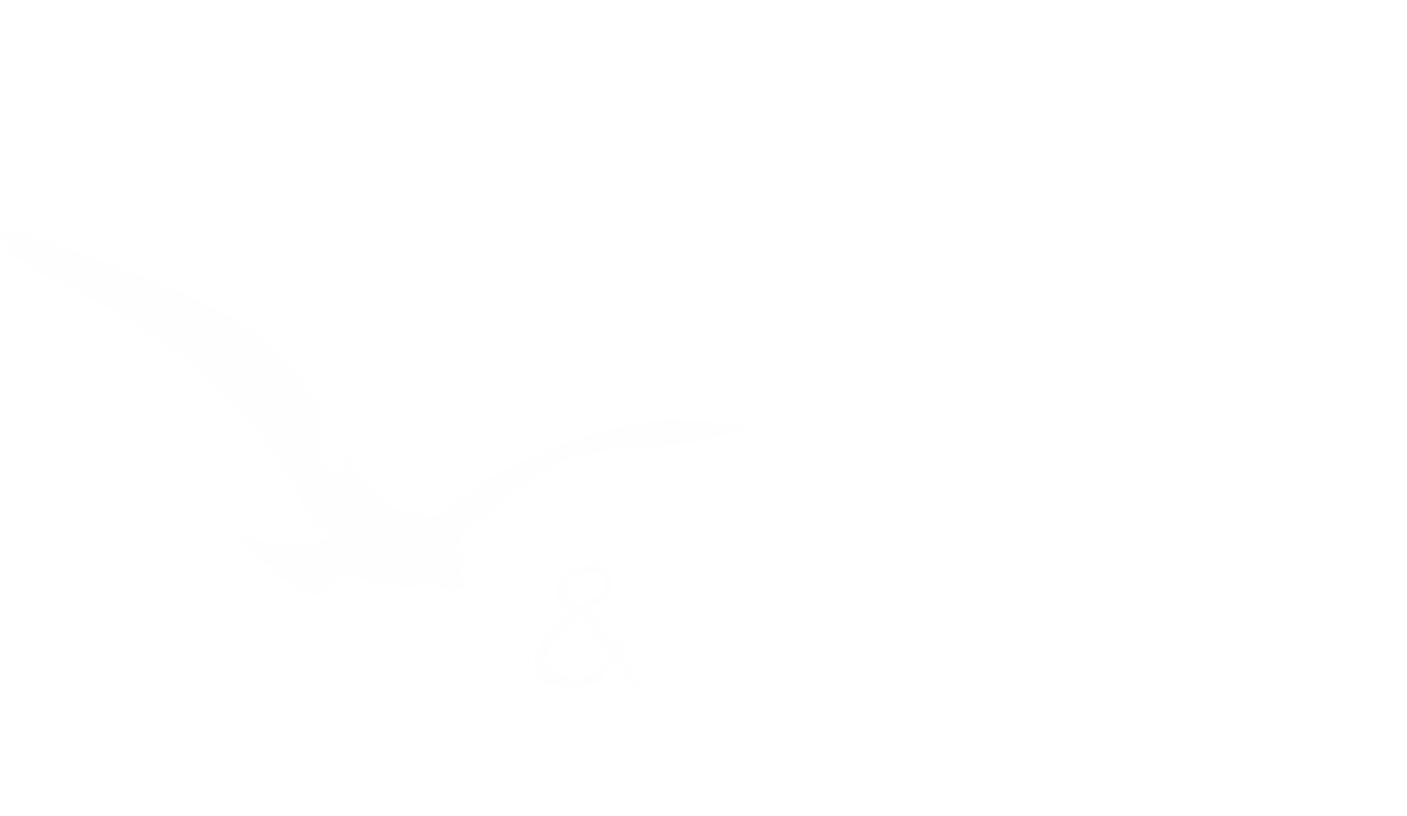 Villammare Festival